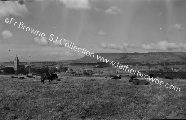 PANORAMA OF TOWN MOUNTAINS FROM SUMMERHILL